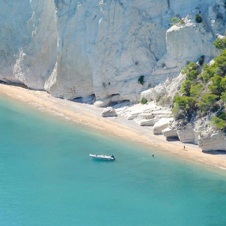 Infinito - Attico Sul Mare Apartman Vieste Kültér fotó