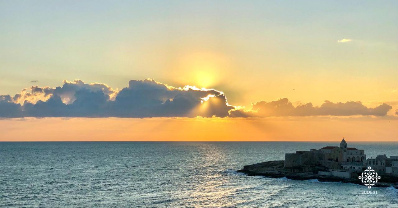 Infinito - Attico Sul Mare Apartman Vieste Kültér fotó